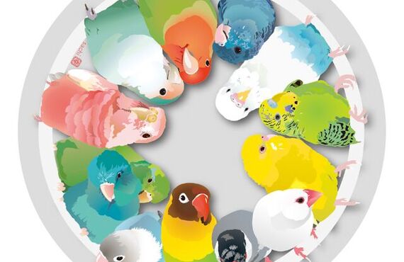 埼玉でインコが泊まれるペットホテルならアニマルームへ