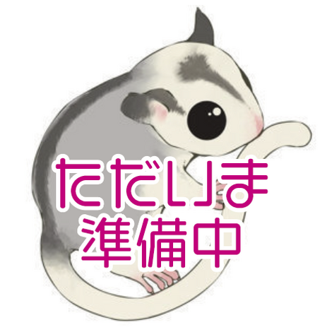 ペットステーション用仮写真